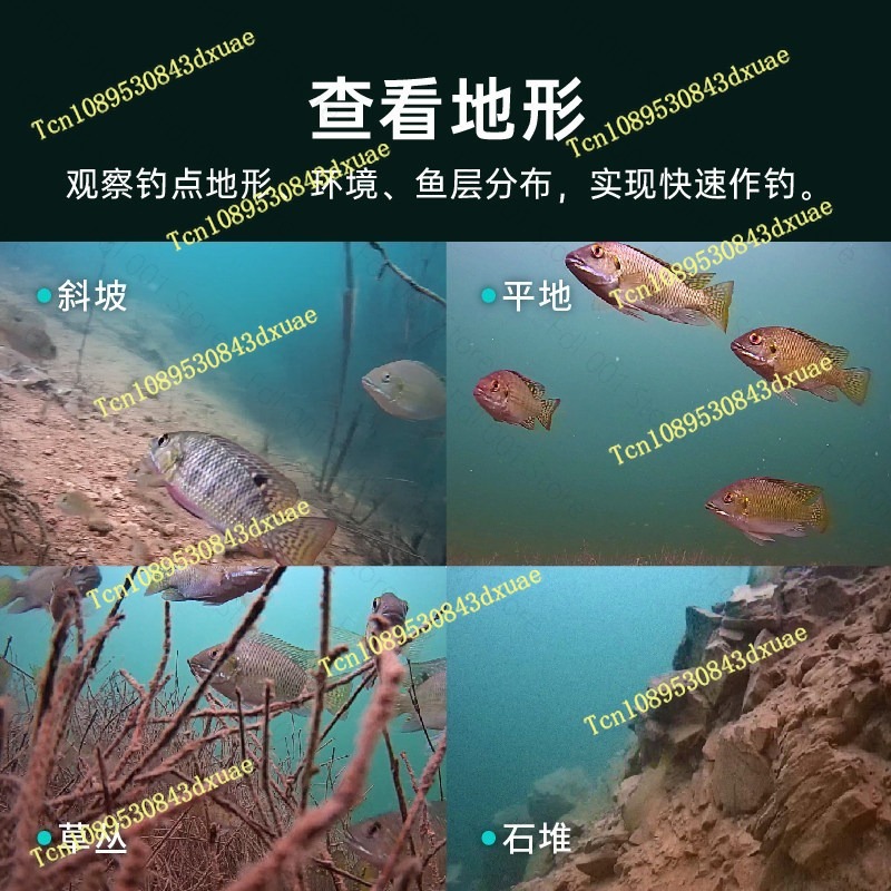 200M Gladius Minis Underwater  - đánh giá và giá Underwater Camera